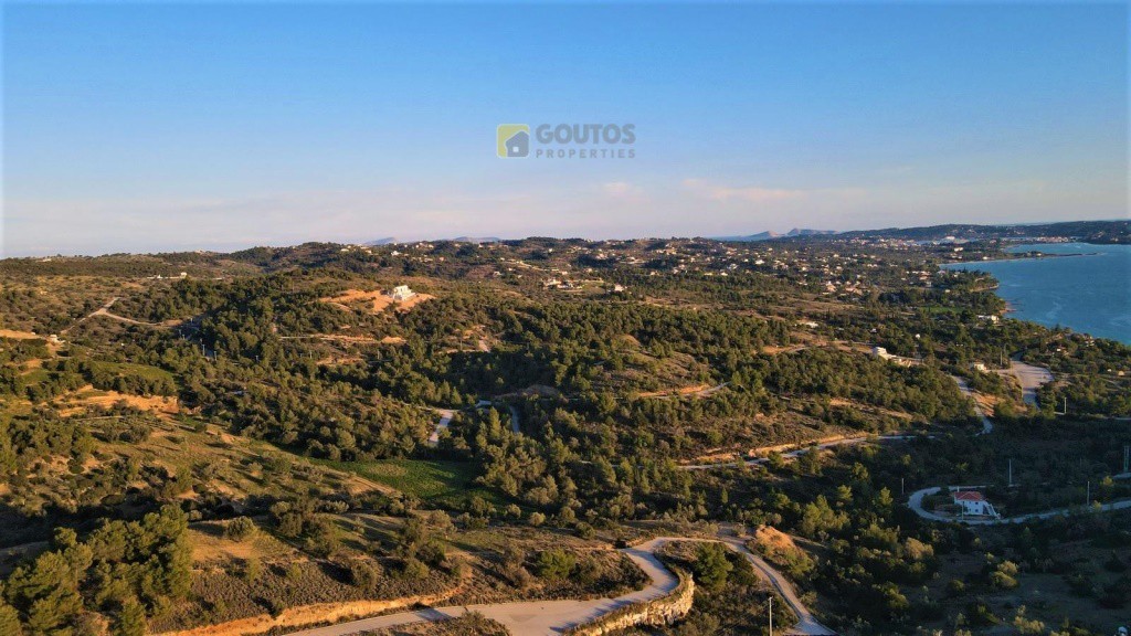 Αγροτεμάχια 26.000 τ.μ. προς πώληση, Βερβερούδα