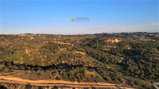 Αγροτεμάχια 26.000 τ.μ. για πώληση, Αργολίδα, Κρανίδι-thumb-14