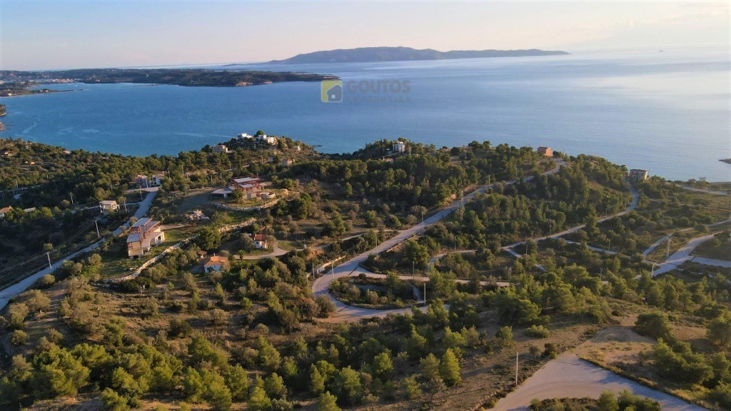 Αγροτεμάχια 26.000 τ.μ. προς πώληση, Βερβερούδα
