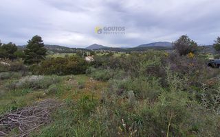 Οικόπεδο 4.000 τ.μ. προς πώληση, Πετροθάλασσα-thumb-8