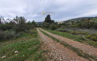 Οικόπεδο 4.000 τ.μ. προς πώληση, Πετροθάλασσα-thumb-10