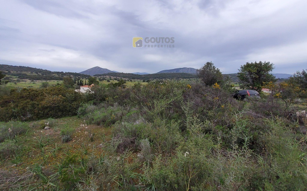 Οικόπεδο 4.000 τ.μ. προς πώληση, Πετροθάλασσα