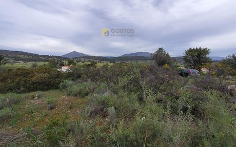 Οικόπεδο 4.000τ.μ. για πώληση-Κρανίδι