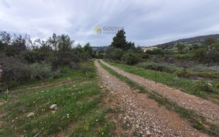 Οικόπεδο 4.000 τ.μ. προς πώληση, Πετροθάλασσα-thumb-9