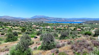 Οικόπεδο 315 τ.μ. προς πώληση, Πετροθάλασσα-thumb-3