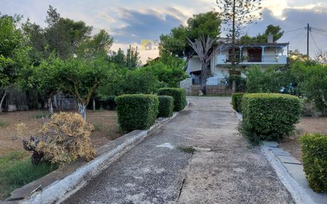 Μονοκατοικία 309τ.μ. για πώληση-Κρανίδι