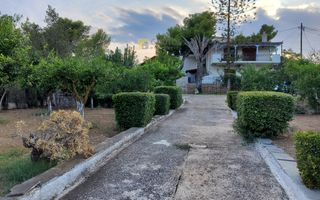 Μονοκατοικία 309 τ.μ. για πώληση