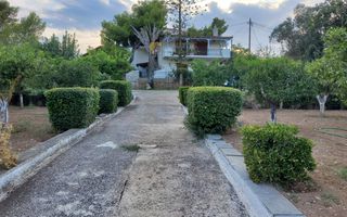 Μονοκατοικία 309 τ.μ. για πώληση, Αργολίδα, Κρανίδι-thumb-28