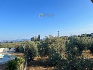 Μονοκατοικία 80 τ.μ. προς πώληση, Πηγάδια Ερμιόνης-thumb-9