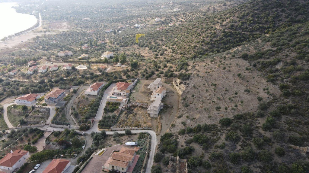 Οικόπεδο 5.528 τ.μ. προς πώληση, Αχλαδίτσα