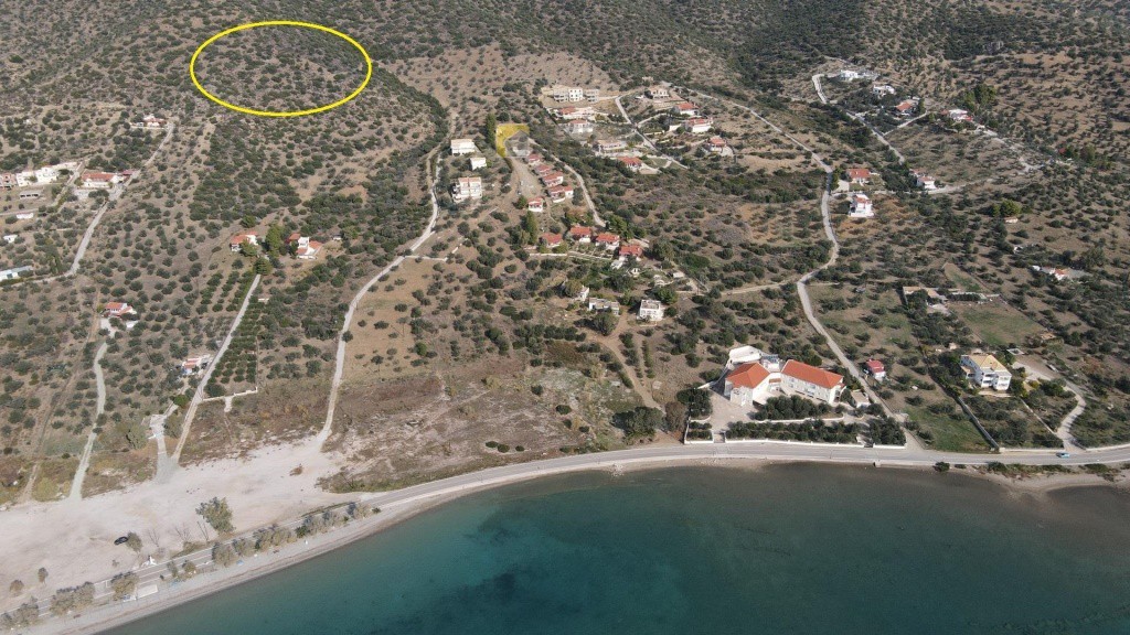 Οικόπεδο 5.528 τ.μ. προς πώληση, Αχλαδίτσα