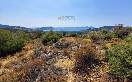 Οικόπεδο 25.000τ.μ. για πώληση-Ερμιόνη