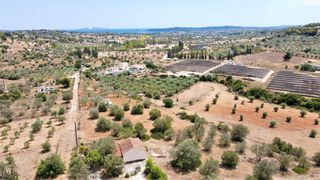 Οικόπεδο 2.000 τ.μ. για πώληση, Αργολίδα, Κρανίδι-thumb-10