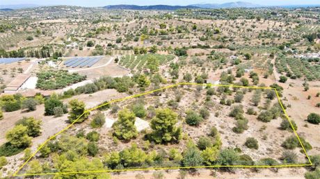 Οικόπεδο 6.000τ.μ. για πώληση-Κρανίδι