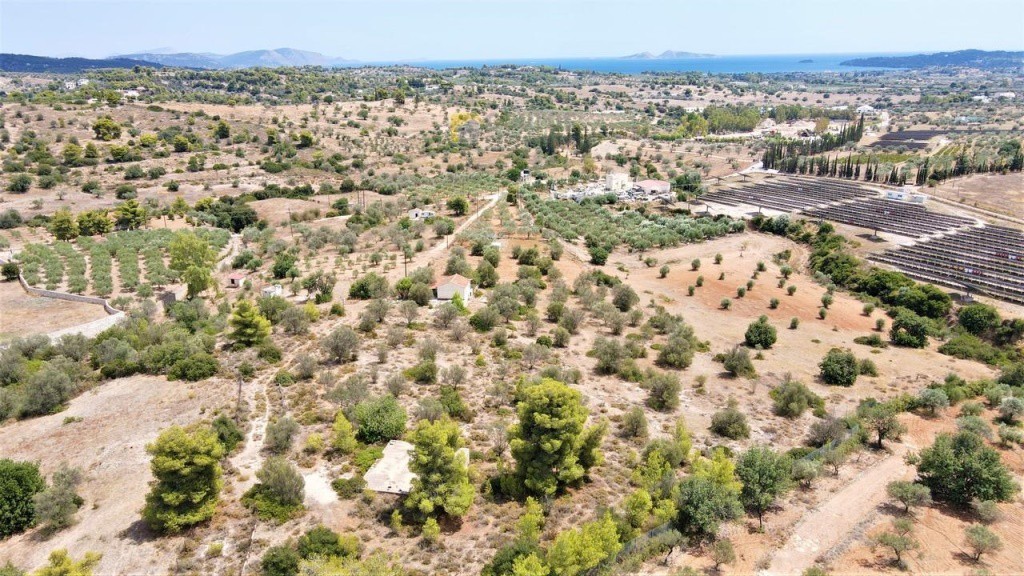 Οικόπεδο 6.000 τ.μ. προς πώληση, Κρανίδι