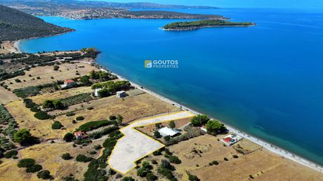 Οικόπεδο 4.968τ.μ. για πώληση-Κρανίδι