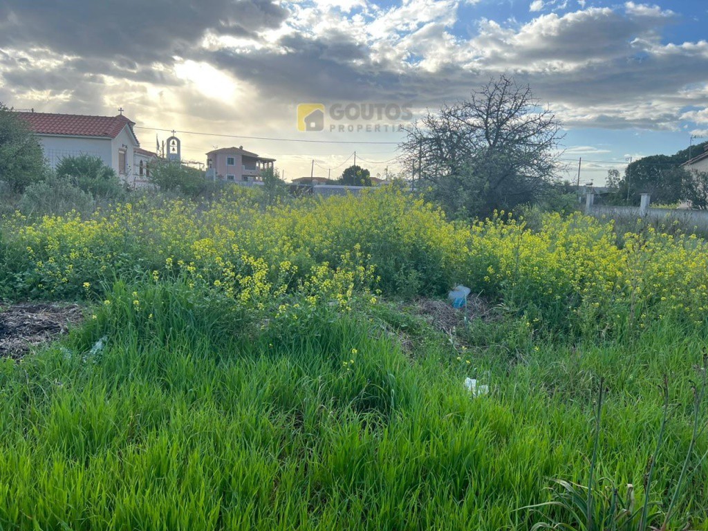 Οικόπεδο 2.000 τ.μ. για πώληση, Αργολίδα, Ερμιόνη