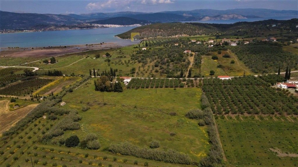 Οικόπεδο 8.565 τ.μ. προς πώληση, Κουβέρτα