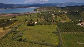 Οικόπεδο 8.565 τ.μ. για πώληση, Αργολίδα, Ερμιόνη-thumb-2