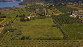 Οικόπεδο 8.565 τ.μ. για πώληση, Αργολίδα, Ερμιόνη-thumb-6