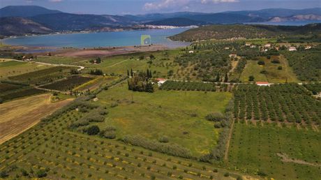 Οικόπεδο 8.565τ.μ. για πώληση-Ερμιόνη