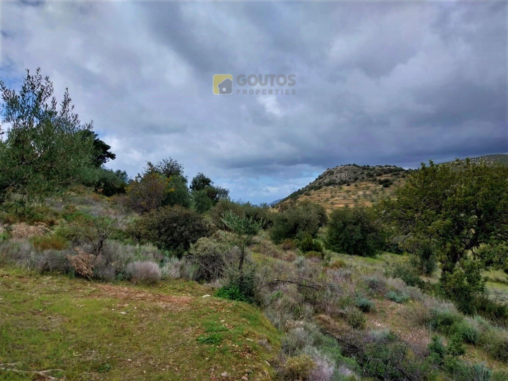 Οικόπεδο 4.100 τ.μ. προς πώληση, Φούρνοι Κρανιδίου