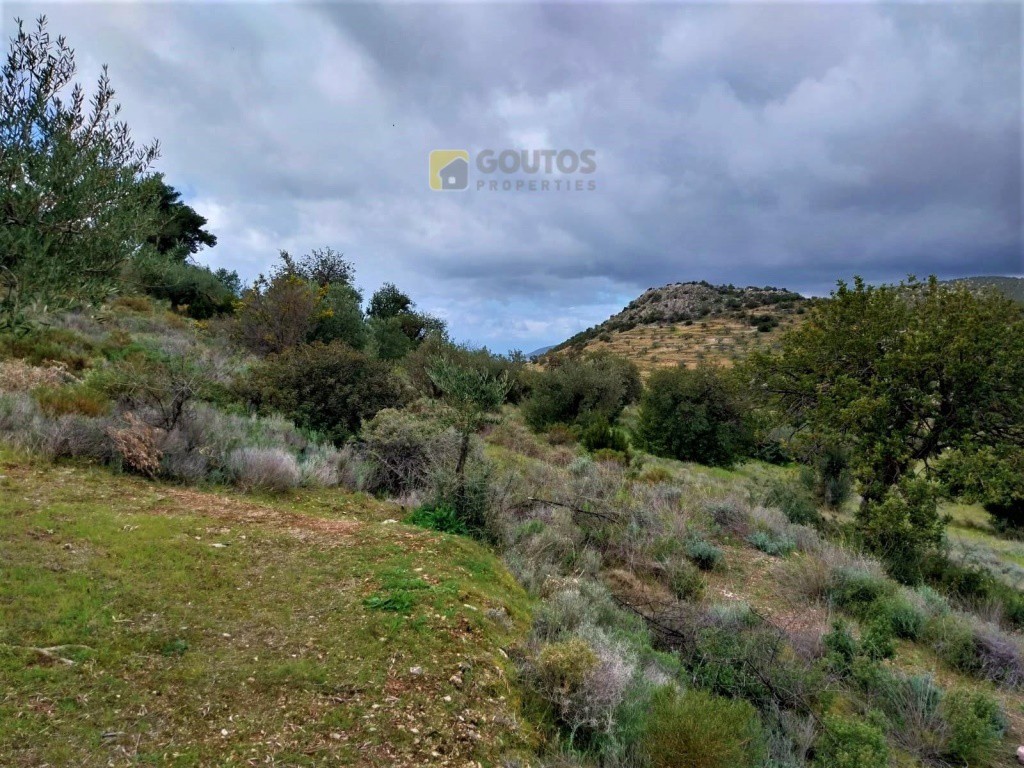 Οικόπεδο 4.100 τ.μ. προς πώληση, Φούρνοι Κρανιδίου
