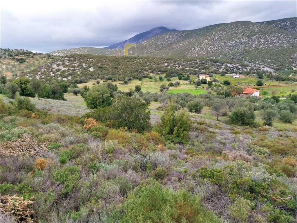 Οικόπεδο 4.100 τ.μ. προς πώληση, Φούρνοι Κρανιδίου