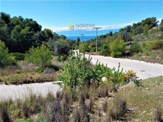 Οικόπεδο 452 τ.μ. προς πώληση, Βερβερούδα-thumb-21