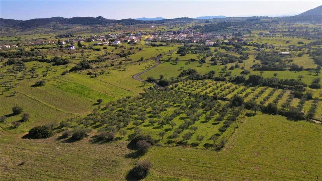 Οικόπεδο 7.500 τ.μ. προς πώληση, Ηλιόκαστρο