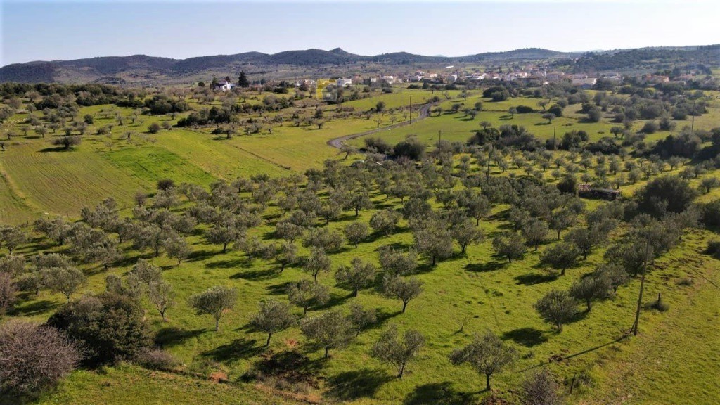 Οικόπεδο 7.500 τ.μ. προς πώληση, Ηλιόκαστρο