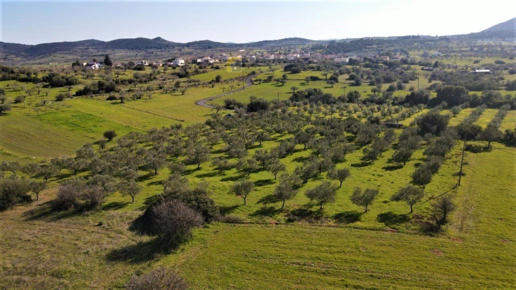 Οικόπεδο 7.500 τ.μ. προς πώληση, Ηλιόκαστρο
