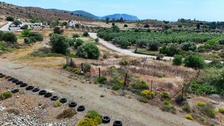 Οικόπεδο 625 τ.μ. προς πώληση, Πετροθάλασσα-thumb-14