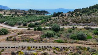 Οικόπεδο 625 τ.μ. προς πώληση, Πετροθάλασσα-thumb-1