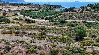 Οικόπεδο 625 τ.μ. προς πώληση, Πετροθάλασσα-thumb-12