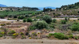 Οικόπεδο 625 τ.μ. προς πώληση, Πετροθάλασσα-thumb-2