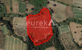 Parcel 31.538sqm for sale-Amaliada