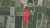Parcel 4.020sqm for rent-Assos-Lechaio