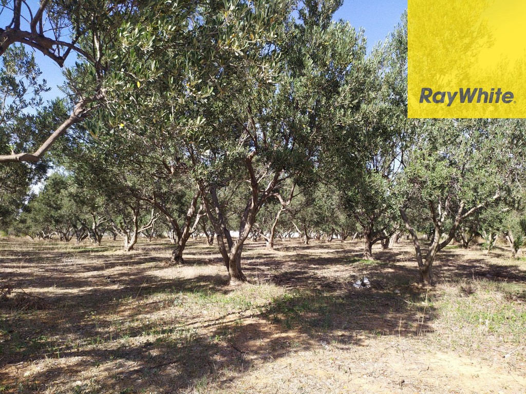 Αγροτεμάχια 34.000 τ.μ. προς πώληση, Λουτράκι-Περαχώρα