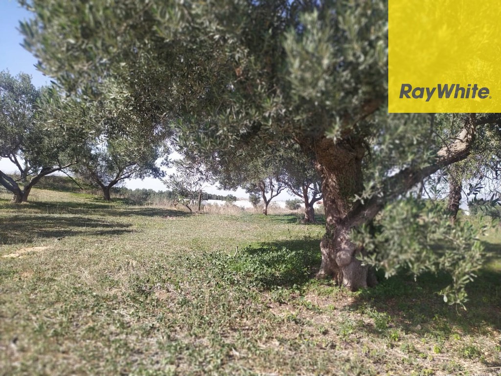 Αγροτεμάχια 34.000 τ.μ. προς πώληση, Λουτράκι-Περαχώρα