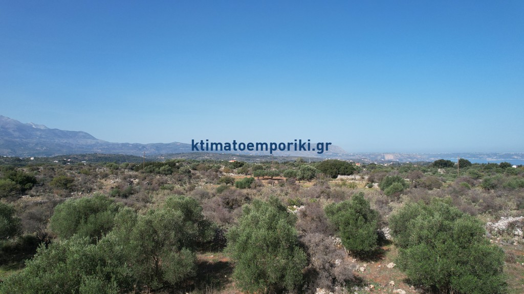 Οικόπεδο 41.000 τ.μ. προς πώληση, Λιτσάρδα