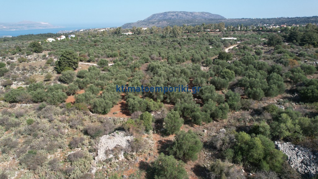 Οικόπεδο 41.000 τ.μ. προς πώληση, Λιτσάρδα
