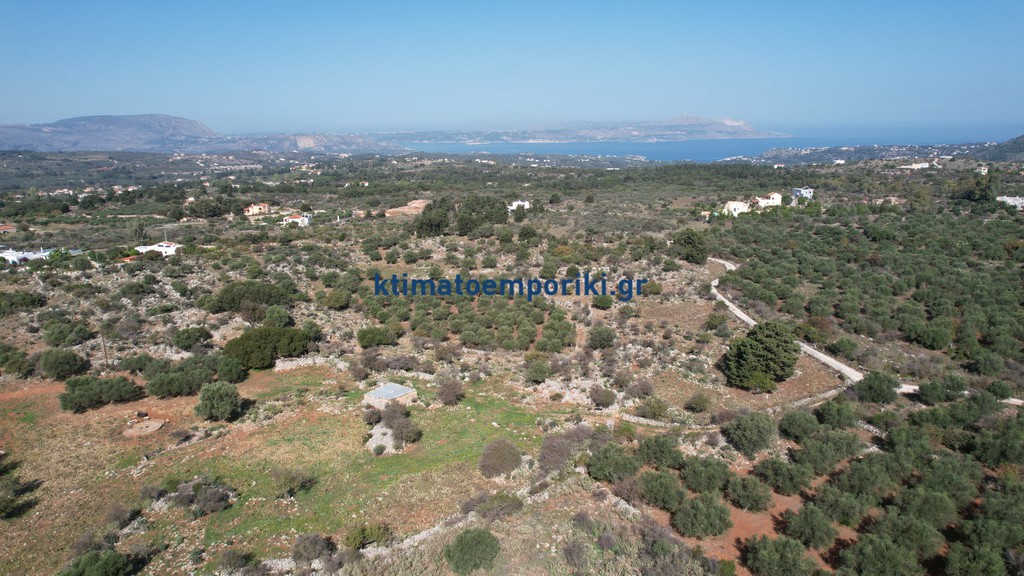 Οικόπεδο 41.000 τ.μ. προς πώληση, Λιτσάρδα