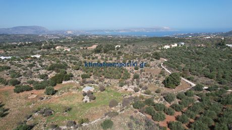 Οικόπεδο 41.000 τ.μ. για πώληση