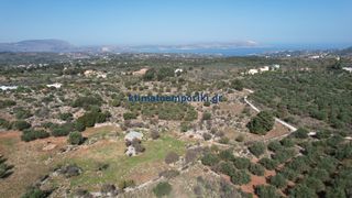 Οικόπεδο 41.000 τ.μ. για πώληση