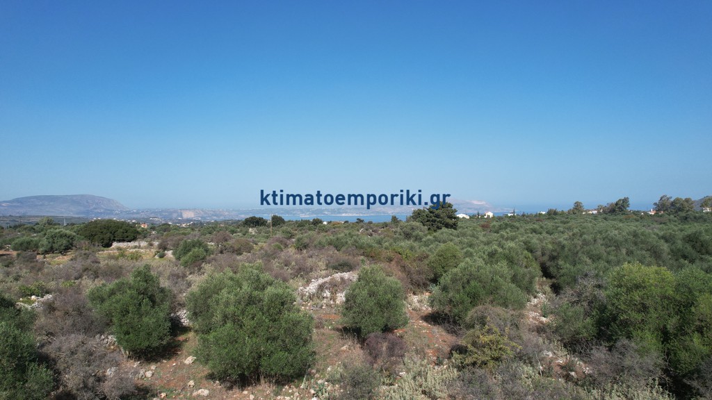 Οικόπεδο 41.000 τ.μ. προς πώληση, Λιτσάρδα