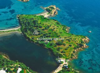 Αγροτεμάχια 21.387 τ.μ. για πώληση, Αργολίδα, Επίδαυρος-thumb-2