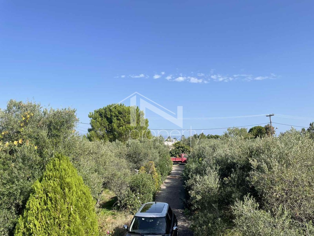 Detached home 220 sqm for sale, Avlida