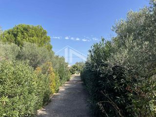 Μονοκατοικία 220 τ.μ. για πώληση, Εύβοια, Αυλίδα-thumb-5