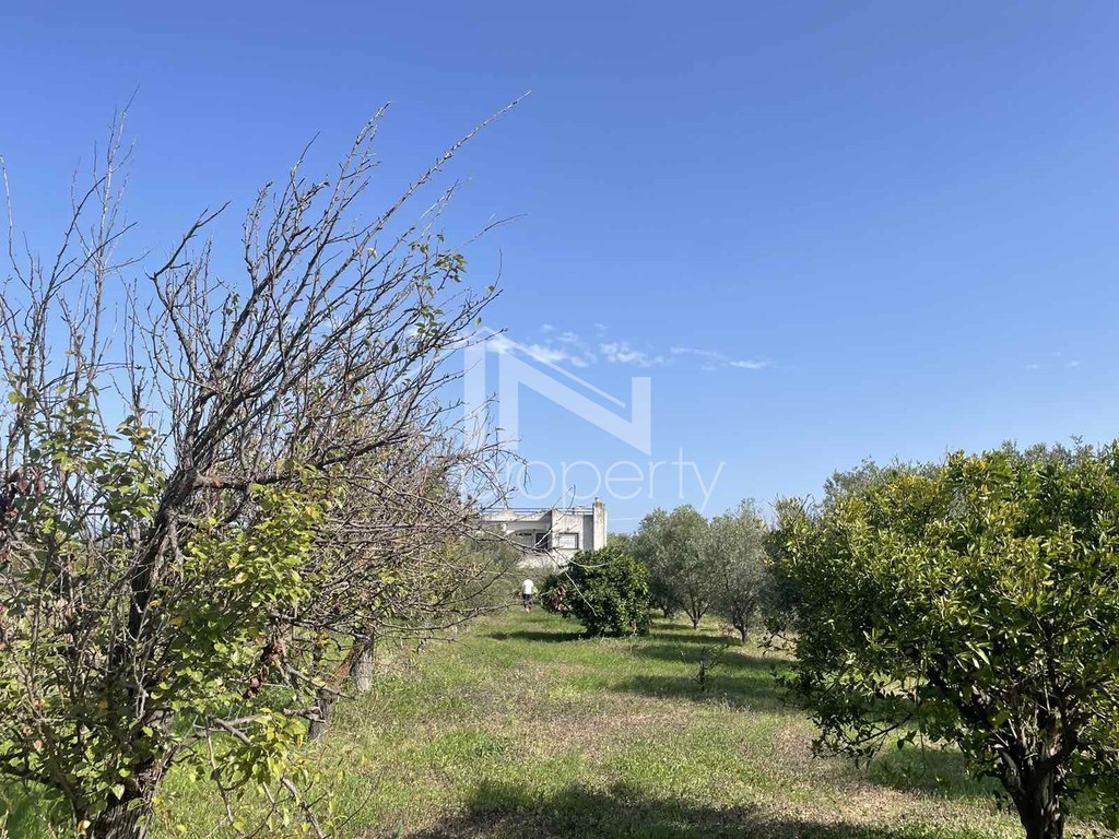 Detached home 220 sqm for sale, Avlida